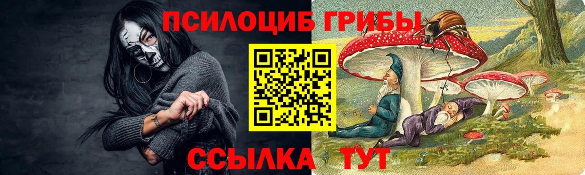Углич  Галлюциногенные грибы прущие грибы  Вход с VPN 