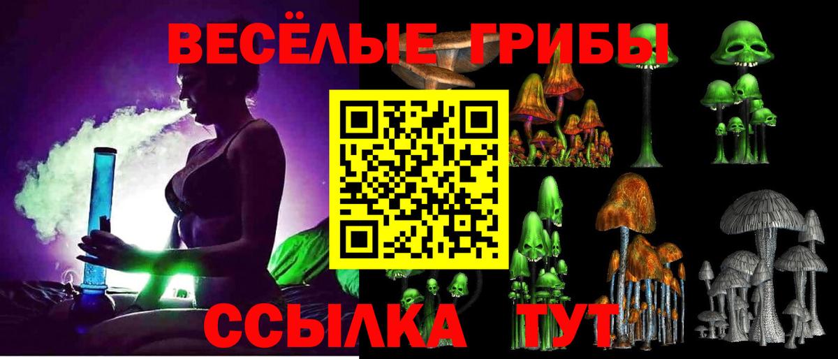 Галлюциногенные грибы Psilocybine cubensis Углич
