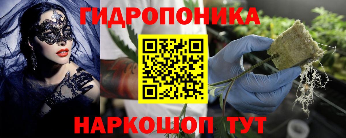 Бошки Шишки гибрид Углич